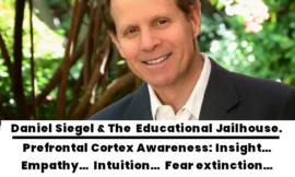 Daniel Siegel and educational jailhouse systems
