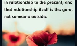 Sign up form — meditation