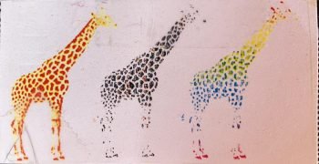 giraffes